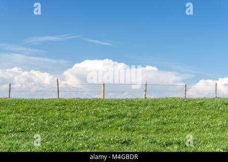 Wire fence on green grass field, blue sky, white clouds Stock Photo