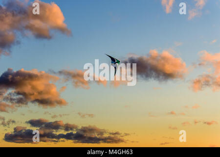 Emerald - blue sky with creamy pink, lush cumulus clouds and a kite on a warm summer evening Stock Photo