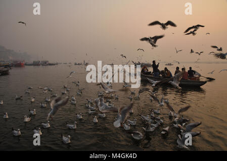 Early morning scene with birds and boats, in Varanasi Stock Photo