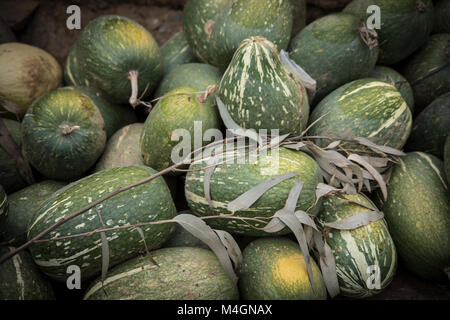 Melones en Bolivia Stock Photo