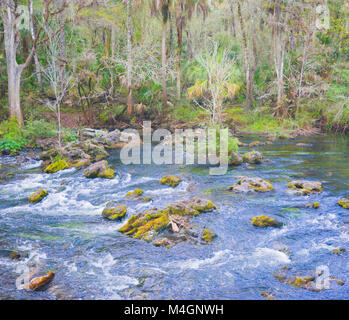 The river at Hillsborough River State Park Stock Photo