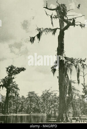 Annual report - Florida Game and Fresh Water Fish Commission (1943-50) (18432441361) Stock Photo