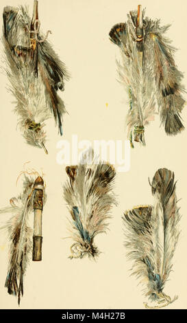 The 1889 Annual Report of the Bureau of Ethnology to the Secretary of ...
