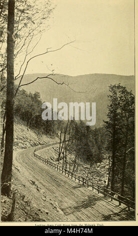 Annual report of the Massachusetts State Forest Commission (1914) (14591884650) Stock Photo