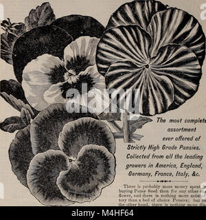 Annual seed and plant catalogue, 1902 (1902) (19946561353) Stock Photo