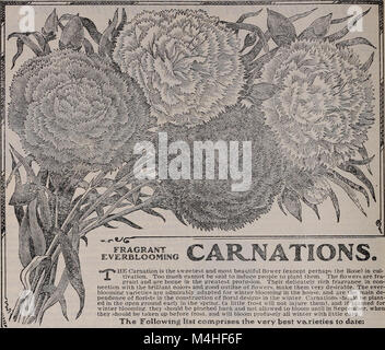 Annual seed and plant catalogue, 1902 (1902) (20541440756) Stock Photo