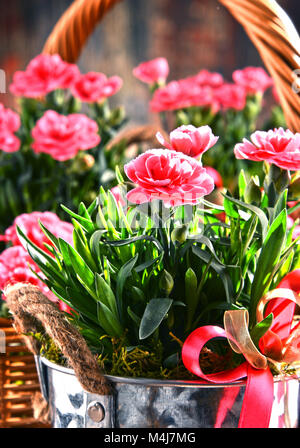 Composition with bouquet of carnations. Stock Photo