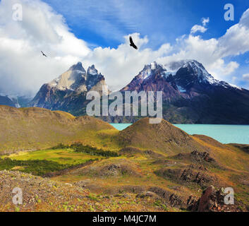 Andean condors fly over the lake Pehoe Stock Photo