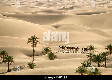Algeria. Near Timimoun. Western Sand Sea. Grand Erg Occidental. Sahara desert. Bedouins walking with camels. Camel train. Sand dunes and palm trees. Stock Photo