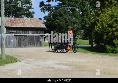 A Mennonite family coming back from church in their horse and buggy, are stopping at a stop sign before carrying on Stock Photo