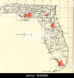 Atlas of United States trees- volume 5. Florida (1361) (20156654968) Stock Photo