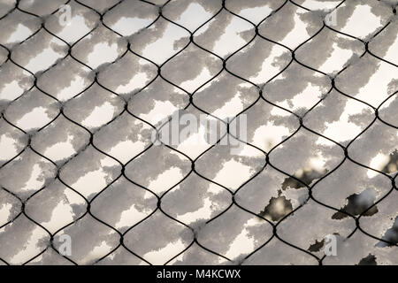 Texture of snow on the fencing net. Plastic mesh covered with snow in winter. Stock Photo