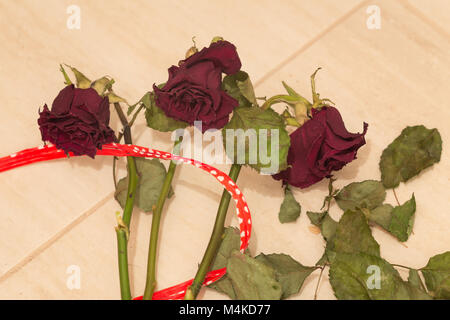 old dried roses. Stock Photo