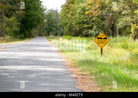 Road sign warning motorists to watch out for endangered Delmarva Peninsula Fox Squirrels at Blackwater National Wildlife Refuge, Maryland Stock Photo