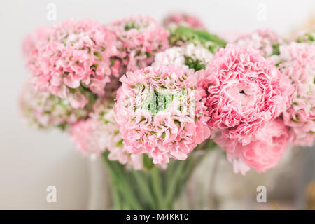 Persian buttercup. lace with many petals. Bunch pale pink ranunculus flowers light background. Wallpaper