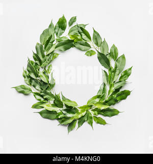 Round circle frame made of green branches and leaves on white background. Flat lay, top view Stock Photo