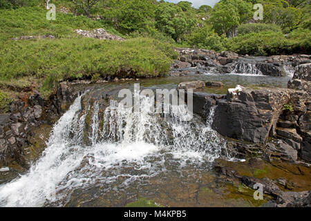 Eas Fors waterfall Isle of Mull Scotland UK Stock Photo