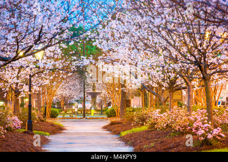 Macon, Georgia, USA downtown square in spring. Stock Photo