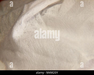 a white folded crumpled tissue wipe detail Stock Photo
