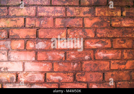 Background of red brick wall texture. Stock Photo