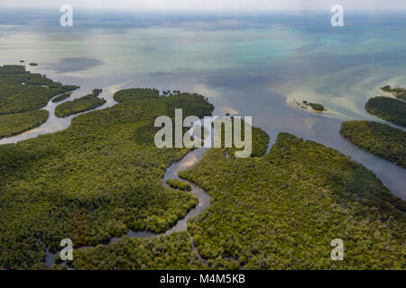 Mangrove coastal wetlands Mozambique Stock Photo