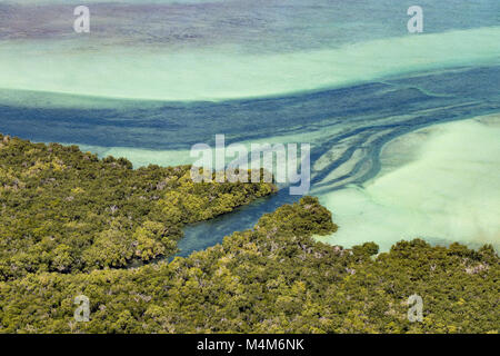 Mangrove coastal wetlands Mozambique Stock Photo