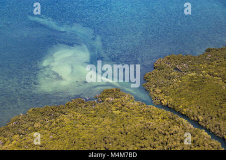 Mangrove coastal wetlands Mozambique Stock Photo