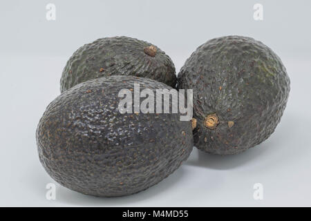 Close-up, studio shot of three avocados, isolated Stock Photo
