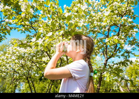 girl sniffs blooming apple flowers in orchard Stock Photo