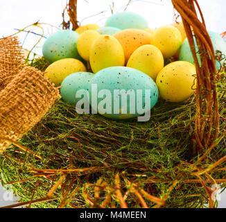 A Basket of Easter eggs in pastel shades of duck egg blue, pale yellow and orange, in a birds nest basket of twigs and grasses Stock Photo