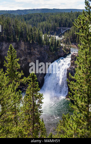View of the Upper Falls of the Yellowstone River from the Upper Falls Viewpoint.  Yellowstone National Park, Wyoming, USA Stock Photo