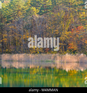 Goshiki-numa Five Colour Pond in Autumn, Urabandai, Fukushima, Japan Stock Photo