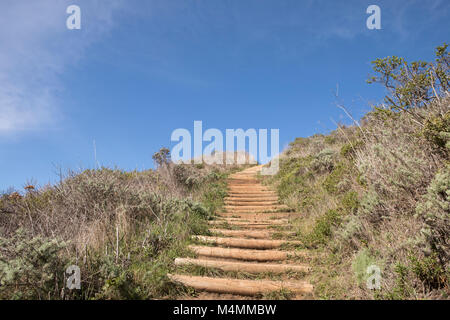 Steep steps uphill leading towards a blue sky. Rough scrub bordering the path. Represents an uphill struggle with blue skies ahead.