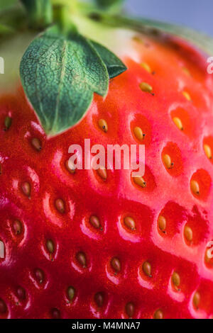 Close-up detail of a fresh red strawberry with leaves Stock Photo - Alamy