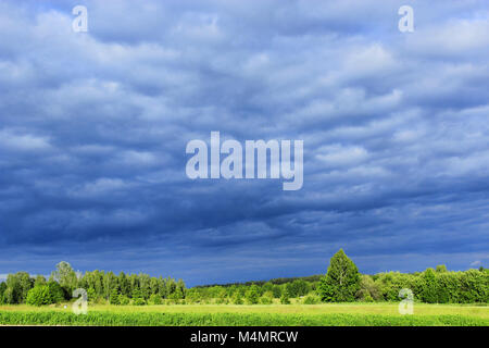 landscape with dark rainy clouds under the forest and meadow Stock Photo