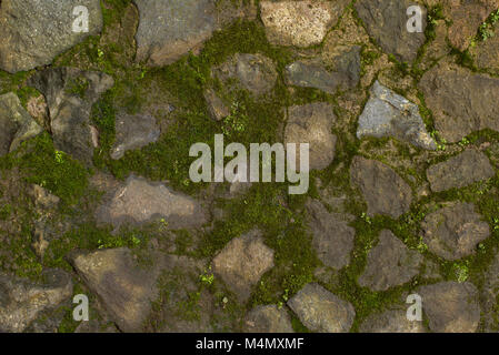 background mossy stone wall Stock Photo