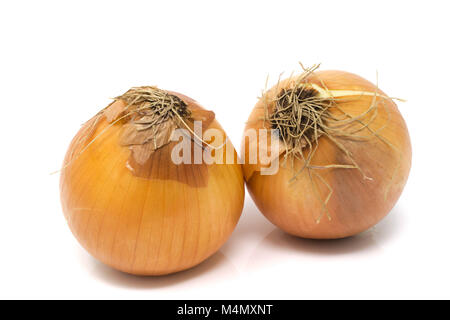 Isolated, close-up studio shot of two whole yellow onions, with husks Stock Photo