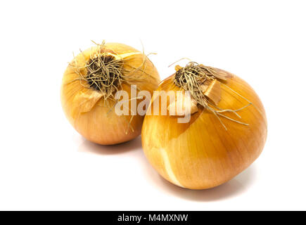 Isolated, close-up studio shot of two whole yellow onions, with husks Stock Photo