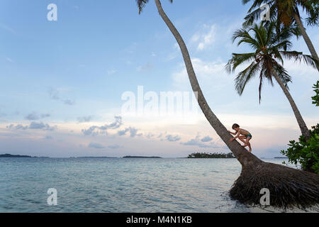 Young western boy in bathing suit climbing a long palm tree over turquoise water on a sandy beach of a beautiful tropical island at sunset. Stock Photo