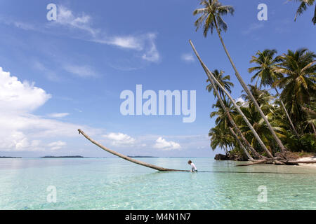 Young caucasian blonde boy in bathing suit climbing on long palm tree trunk over sandy beach and turquoise water Stock Photo