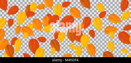 Set of multi-colored autumn leaves on transparent background. Vector Illustration. Stock Vector