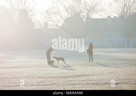 Northampton. 17th Feb, 2018. UK Weather: A cold  frosty and sunny morning with people enjoying the cold crisp air walking their dogs in Abington Park Credit: Keith J Smith./Alamy Live News Stock Photo