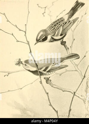 Bird-life; a guide to the study of our common birds (1897) (14771598623) Stock Photo