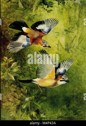 'Birds in Flight' (1922) explores the dynamics of avian flight ...