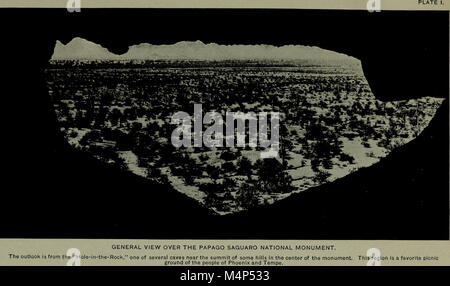 Birds of the Papago Saguaro National Monument and the Neighboring Region, Arizona (1920) (14748369324) Stock Photo