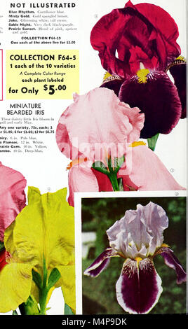 Bolgiano's bulbs, plants and lawn seeds for fall 1964 planting (1964) (19766812974) Stock Photo