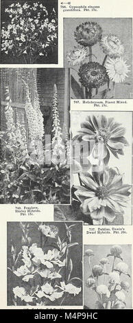 Bolgiano's capitol city seeds - 1960 (1960) (20396608431) Stock Photo