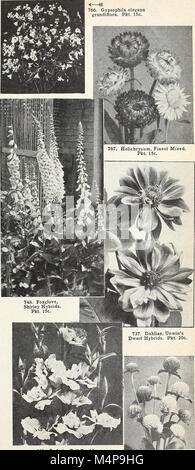 Bolgiano's capitol city seeds - 1963 (1963) (20390414445) Stock Photo