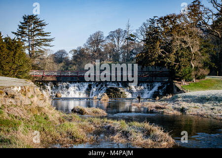 Man angler fly fishing at the Salmon Leap Weir on The River Rye in Carton House, Maynooth, County Kildare, Ireland Stock Photo