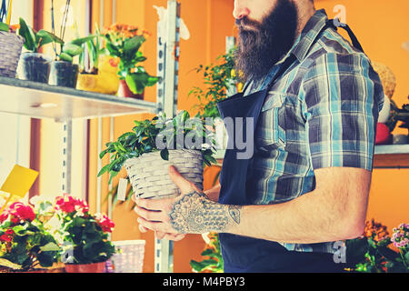 Brutal bearded flower seller with tattoos on his arms in a flower shop. Stock Photo